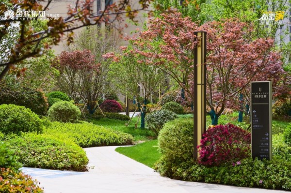 徐州金輝信步蘭庭實(shí)景圖 徐州金輝信步蘭庭實(shí)景圖