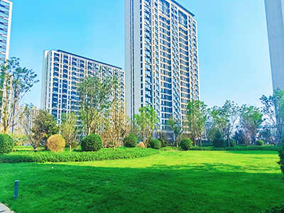 1698223359876045.jpg 112.jpg