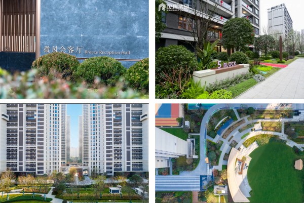 1731476376971224.jpg 圖片1.JPG